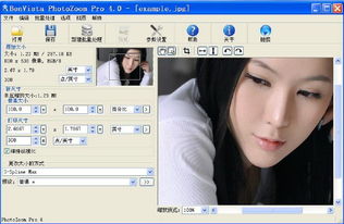 图片无损放大 PhotoZoom Pro 4.04 压缩包